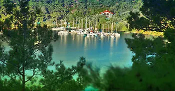 فندق Global Sailing *